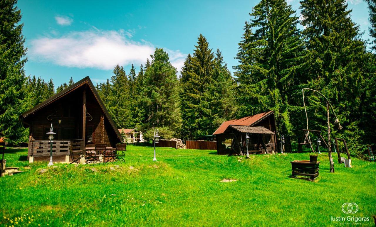 Pensiunea Vanatorul Vatra Dornei Exterior foto